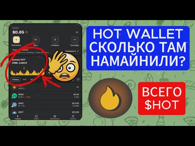 HOT WALLET HOW MANY COINS HAVE BEEN MINED?