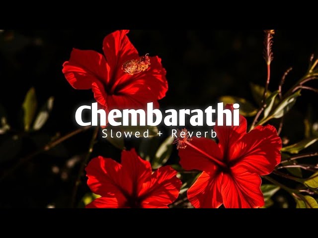Chembarathi - SLOWED + REVERB~