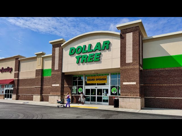 FIRST DOLLAR TREE SHOPPING SPREE OF 2026 NEW YEAR NEW FINDS ✨️ DOLLAR TREE STAS
