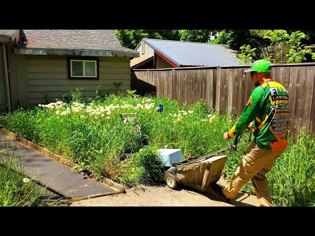 I KNOCKED On This Homeowners Door & MOWED Her NEGLECTED Yard For FREE