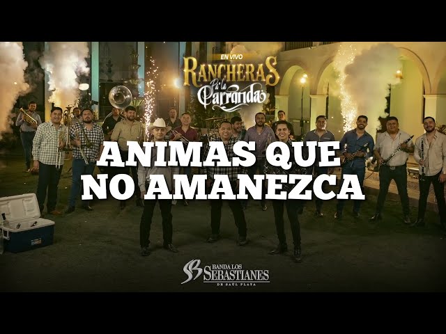 Banda Los Sebastianes - Animas Que No Amanezca (Lyric)