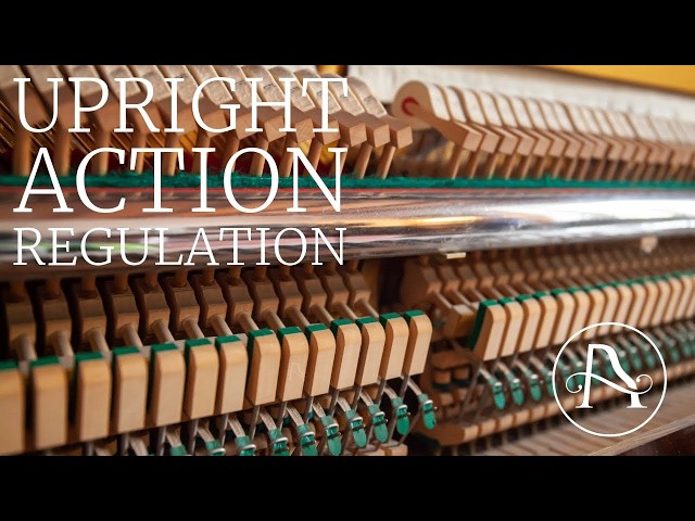 Upright Action Regulation and Q&A! #Pianoregulation #pianorepair
