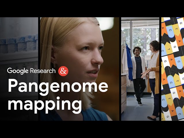 Building the human pangenome with AI