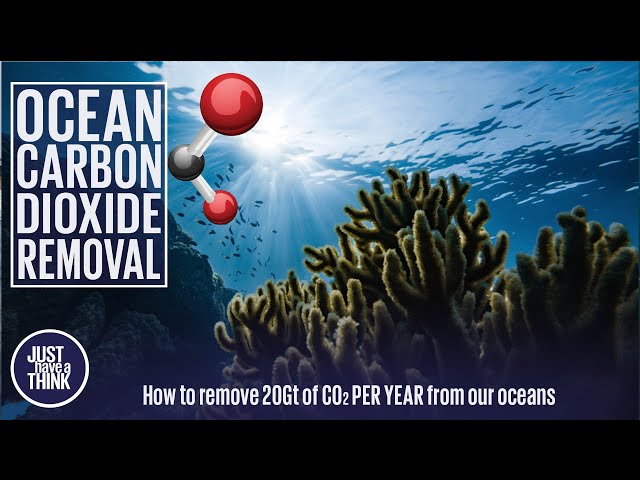 Carbon Dioxide Removal from our oceans. Can we achieve 20 BILLION tonnes per year?