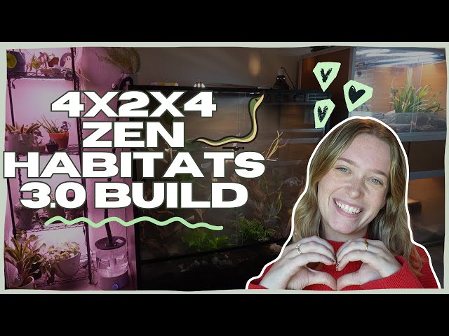 NEW ZEN HABITATS 3.0 4x2x4 ENCLOSURE BUILD! (is this the best enclosure they've made??)