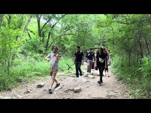 Strings in the Woods Behind the Scenes Austin Texas