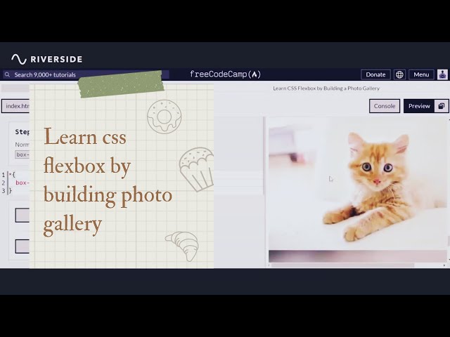 Learn CSS Flexbox By Building Photo Gallery || css flexbox || css flexbox for beginner