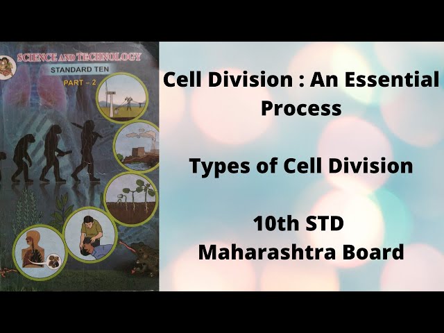Cell Division : An essential life process | Overview of mitosis & meiosis|10th std Maharashtra Board