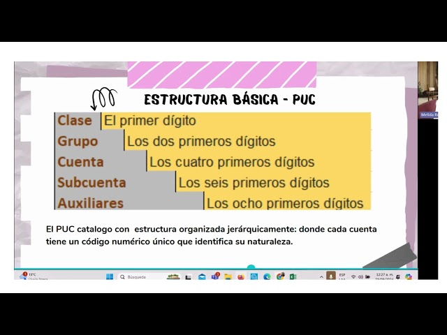 Plan Único de Cuentas   PUC