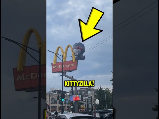 Hello Kitty Just Became Godzilla?! 😱🦖