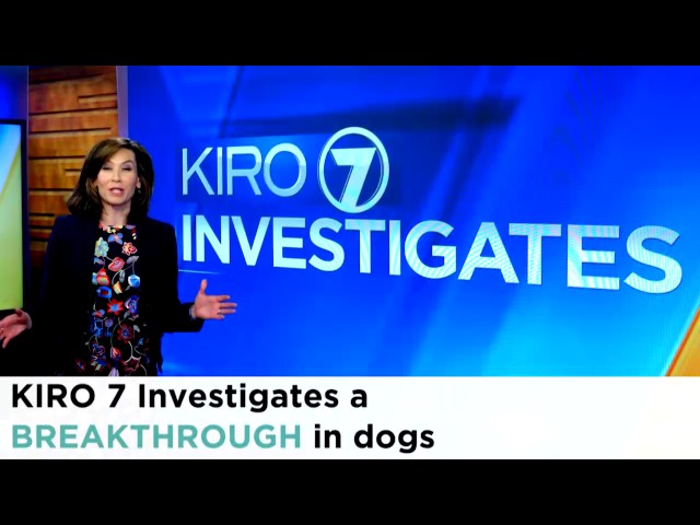 Tonight at 5 on KIRO 7 News