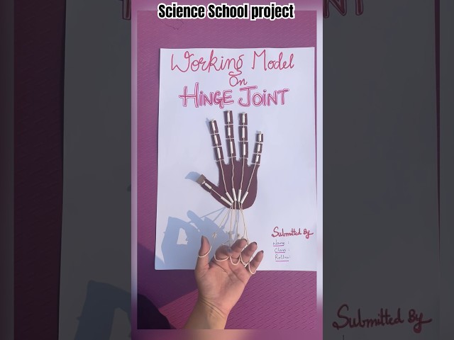 Working Model on HINGE JOINT/ Science school project/ Project based learning for school kids/ Joints