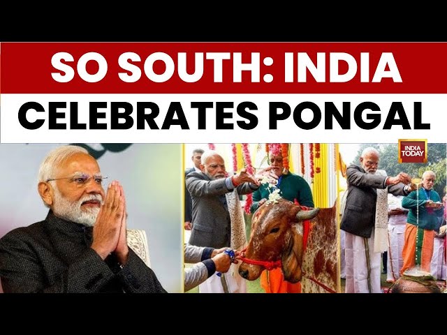 So South: PM Modi Hails Tamil Culture At Pongal Event | DMK MP Dayanidhi Maran's 'North vs South'
