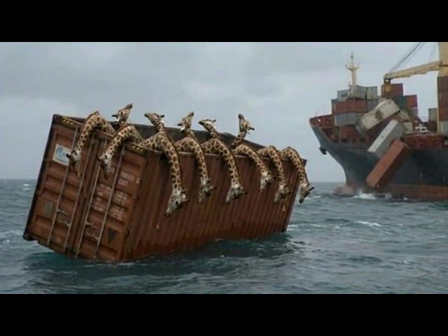 Why a Ship Should Not Retrieve a Container That Has Fallen into the Ocean