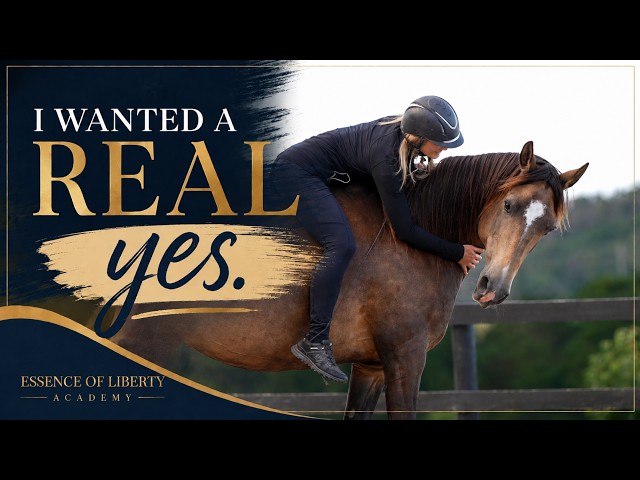 I Stopped Asking My Horses to Obey — And Everything Changed