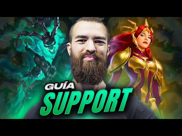 SUPPORT FUNDAMENTALS guide summarized in 55 minutes