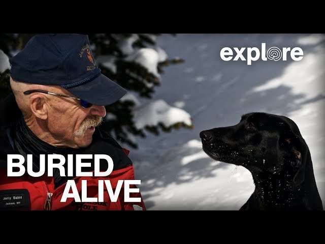 Buried Alive | Explore Films