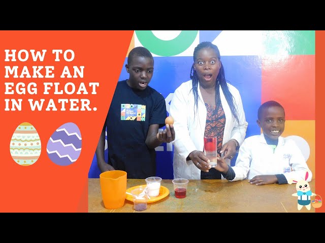 How to make an egg float in water | Fun science experiments to try at home.
