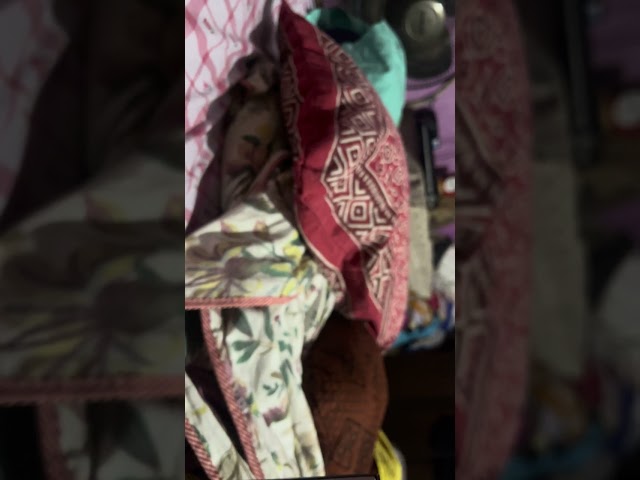 SONY BDP-S1500 Java Powered 12 v ,LAN (100) , HDMI OUT , PCM/DTS/DOLBY DIGITAL BLUE RAY DISC Part 1