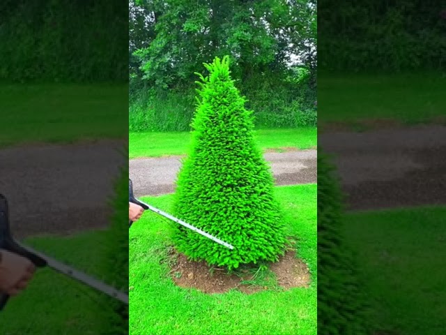#organization #satisfyingsort #calmingvideo #satisfyingcontent