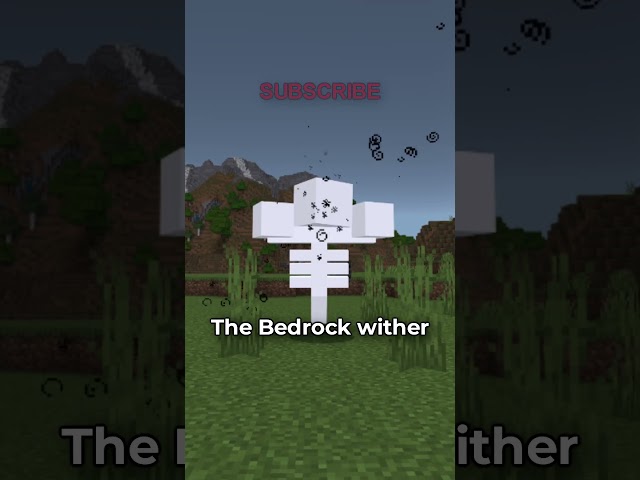 bedrock features i wish were in java