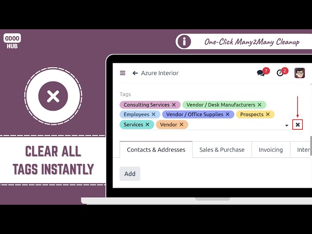 How to Clear Many2Many Tags Fast | Odoo UI Improvement | Odoo App Tutorial | Odoo Hub