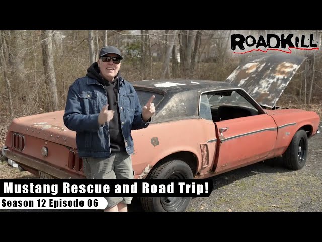 Mustang Rescue and Road Trip! - Roadkill S12E06 - Reality Car TV Show