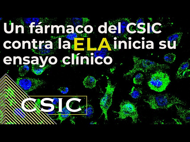 A drug developed by the CSIC against ALS begins its clinical trial