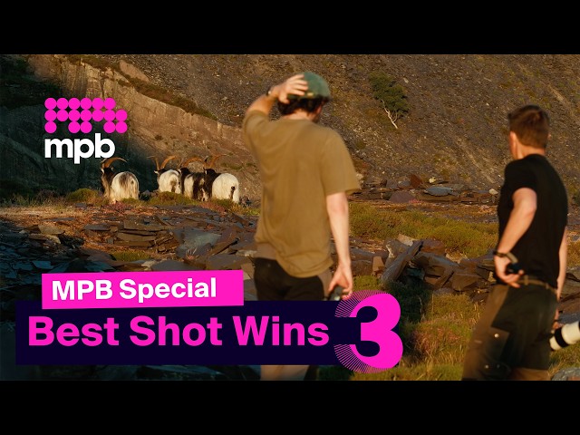 Mountain Goat Photography Challenge in Wales | MPB