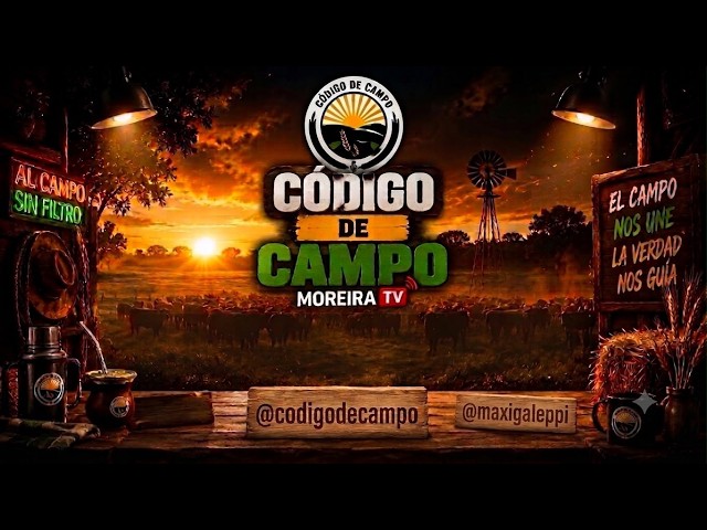 CODIGO DE CAMPO - PROGRAMA 21