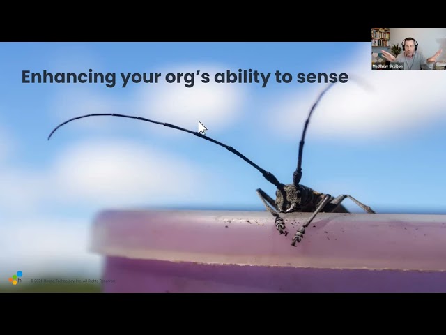 Observability in Sociotechnical Systems: How to Use Telemetry Data to Inform Software and Org Design