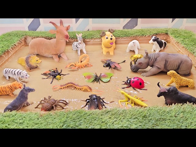 Kingdom of Mud: The Unlikely Battle of Farm, Jungle Animals & Insect Bugs for Kids