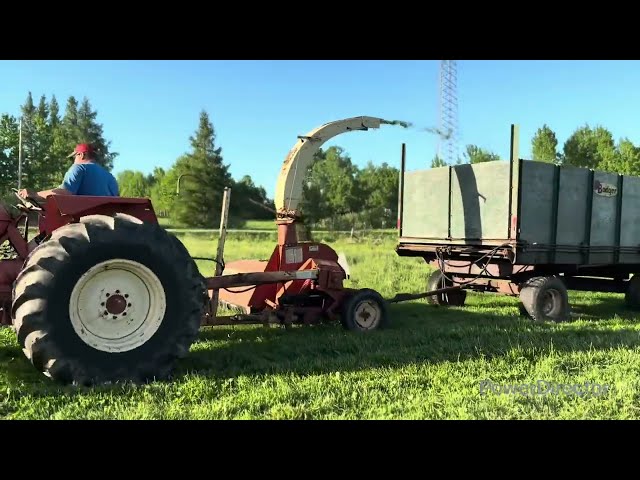 Meet the family of SmallWisconsinDairyFarm 