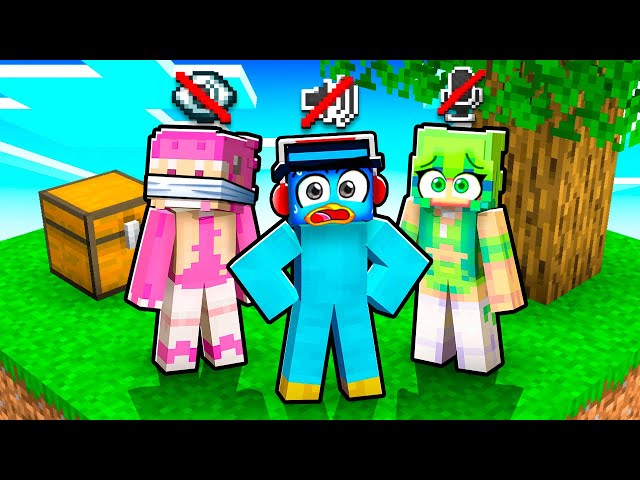 SkyBlock, But We Are Blind, Deaf and Mute!