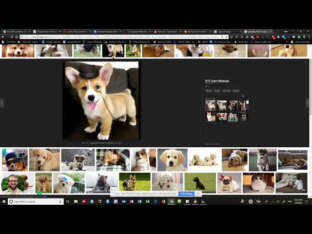 General Computer Skills Training (Summer 2018) Tutorial #1 - Basic Computer Skills