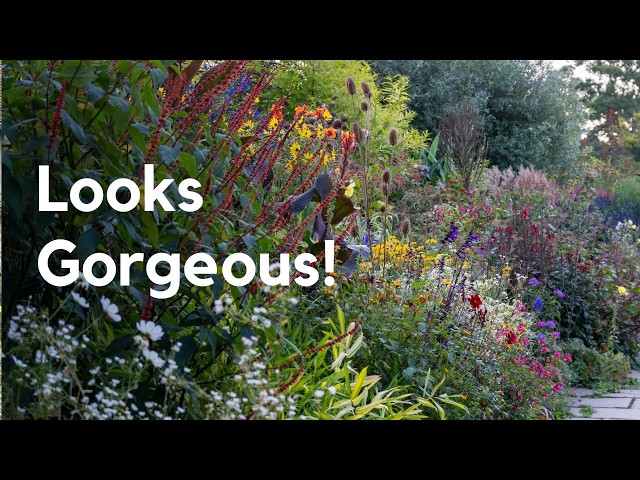 Garden Design For Wildlife: Lessons From Great Dixter