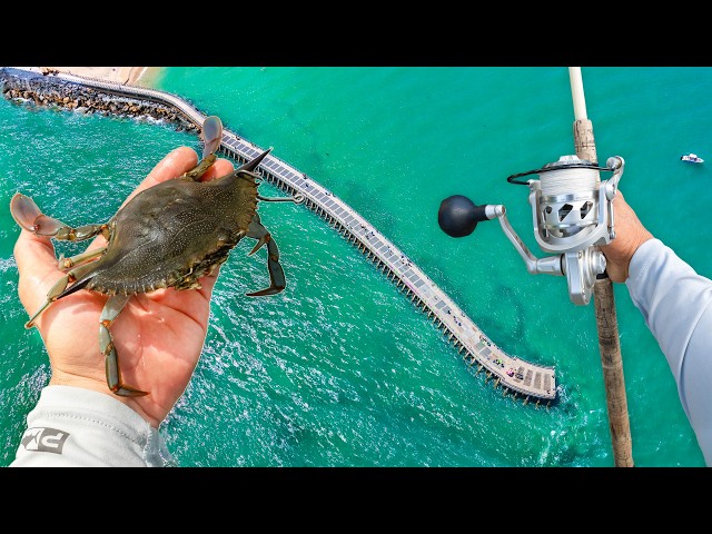 72 Hrs to Catch The 3 Most Challenging Trophy Fish