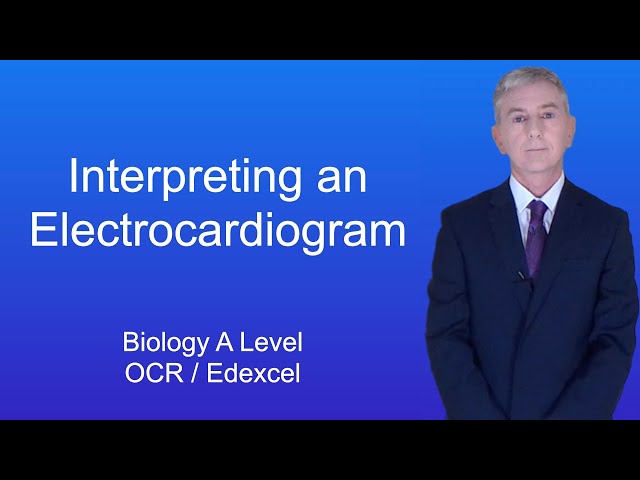 A Level Biology Revision "Interpreting an Electrocardiogram (OCR / Edexcel)"