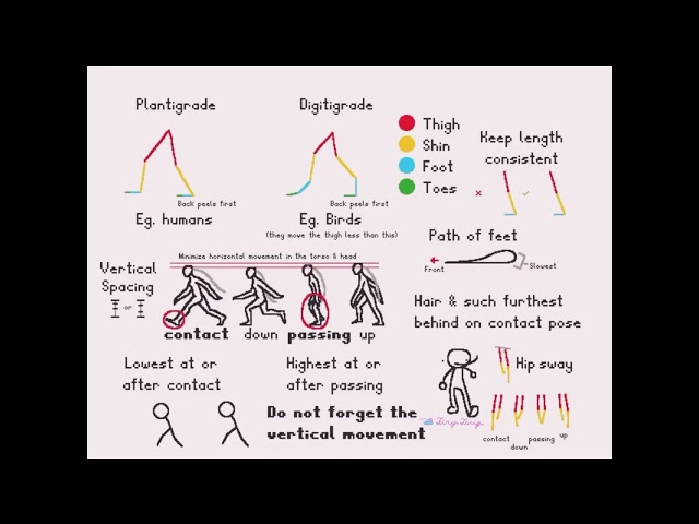 Walk Cycle Tutorial - Bipeds #animation