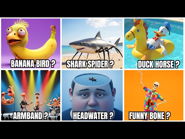 30+ Crazy Literal vs Real Meaning of English Compound Words