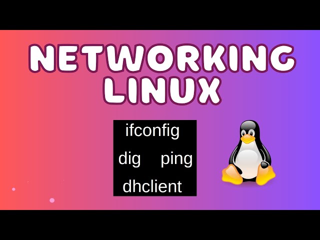 APRENDE SOBRE LOS COMANDOS DE RED EN LINUX
