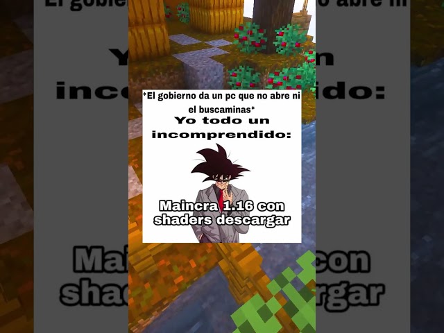 Minecraft Memes #306