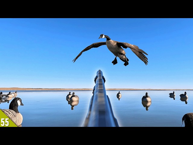 DECOYING Geese In CALM Conditions (Limited Out) | Solo Kayak Goose Hunt