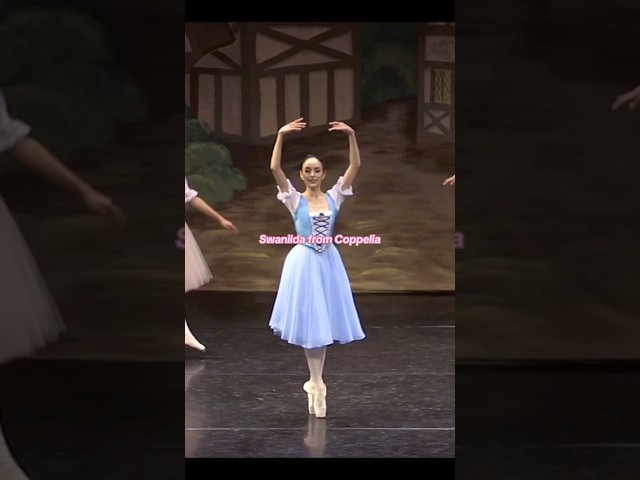 ROLES IVE PERFORMED #ballerina#ballet#dancer#roles#performance#casting#theater#guestartist#principal