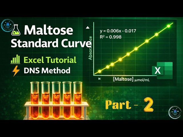 Maltose Standard Curve in Excel | Complete Calculation & Graph Tutorial (Part - 2)