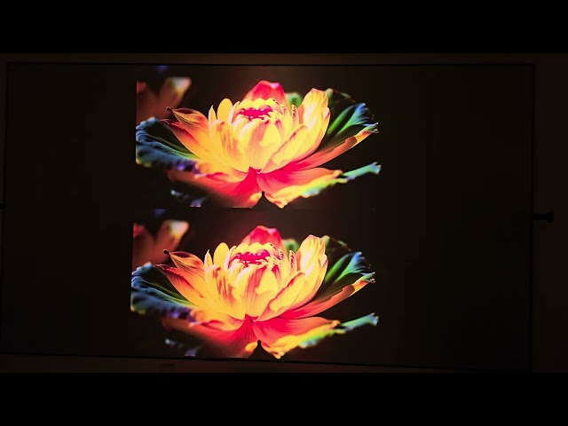 Valerion VisionMaster Pro 2(Top) Vs Max (Bottom) 2