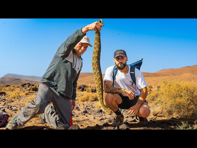 The Last Snake Hunters: Aissauas
