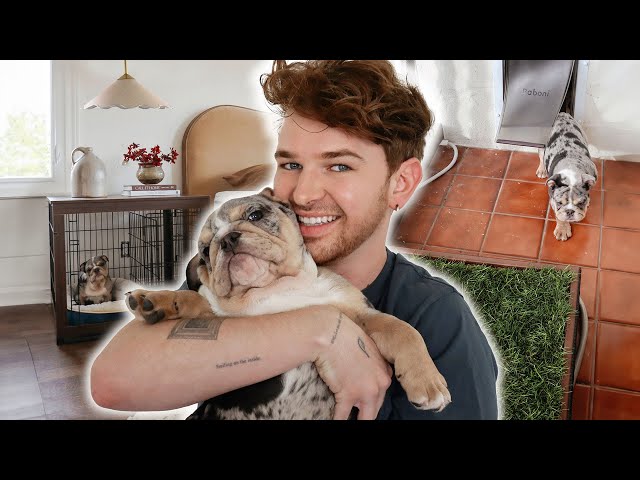 Puppy Proofing MY ENTIRE HOUSE 🐶 DIY Balcony Potty w/ Drains & Amazon Favorites!