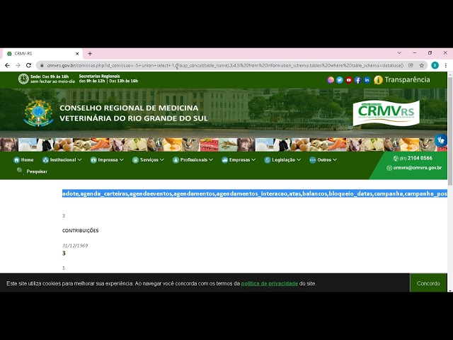 Union Based + Sqlmap ( Demonstração )