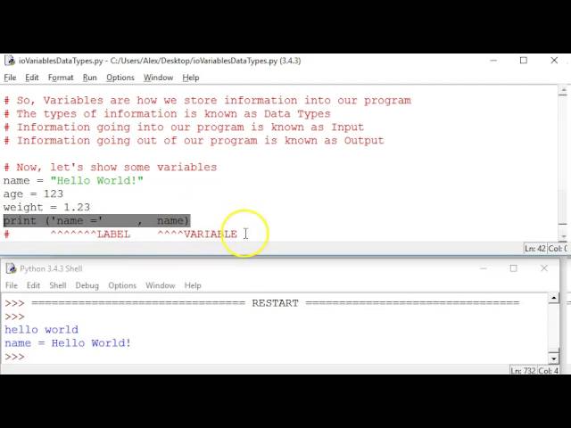 Python Input, Output, Variables, Data Types